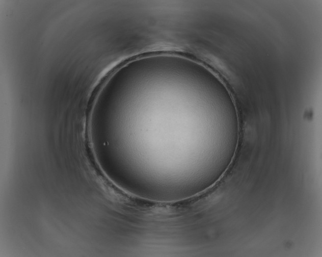 X0000093251220200710031556