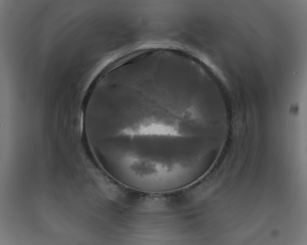 X0000093251221200710031556