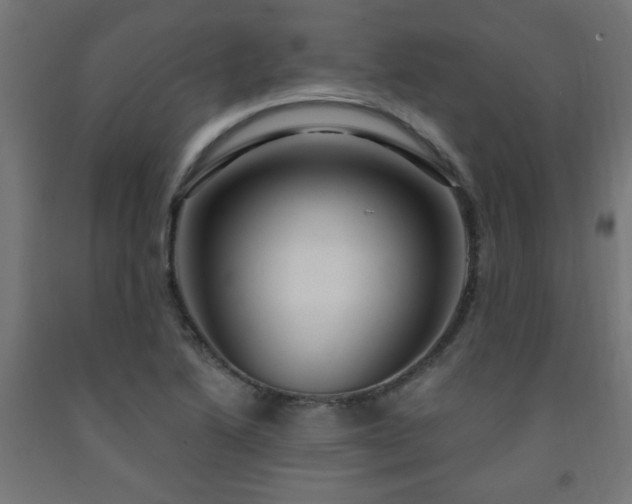 X0000093251222200710031556