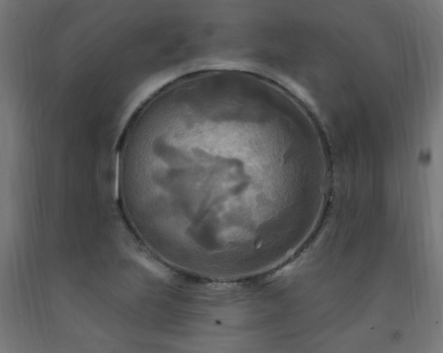 X0000093251223200710031556