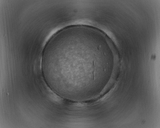 X0000093251224200710031556