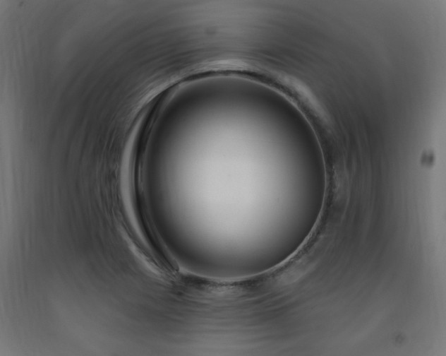 X0000093251225200710031556