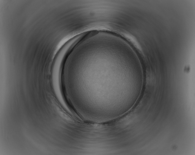 X0000093251226200710031556