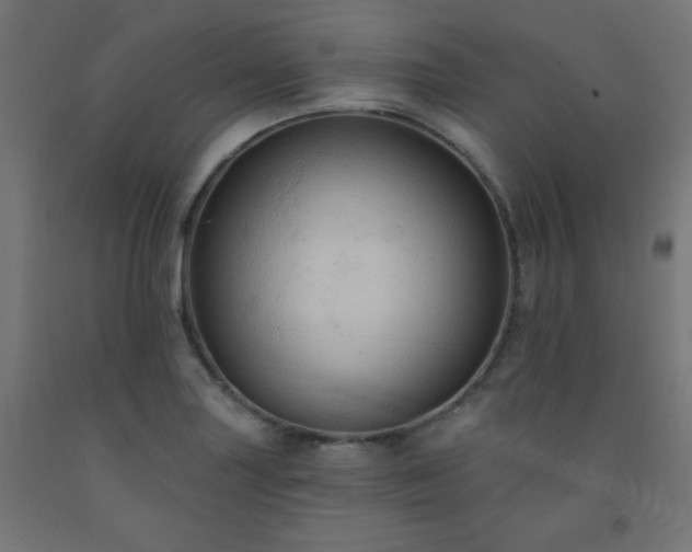 X0000093251227200710031556