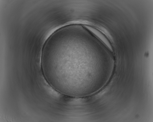 X0000093251228200710031556