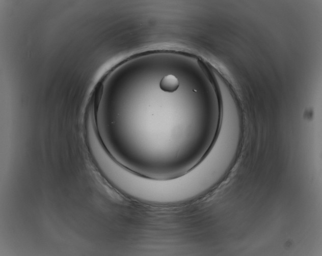 X0000093251230200710031556