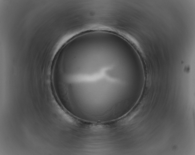 X0000093251231200710031556