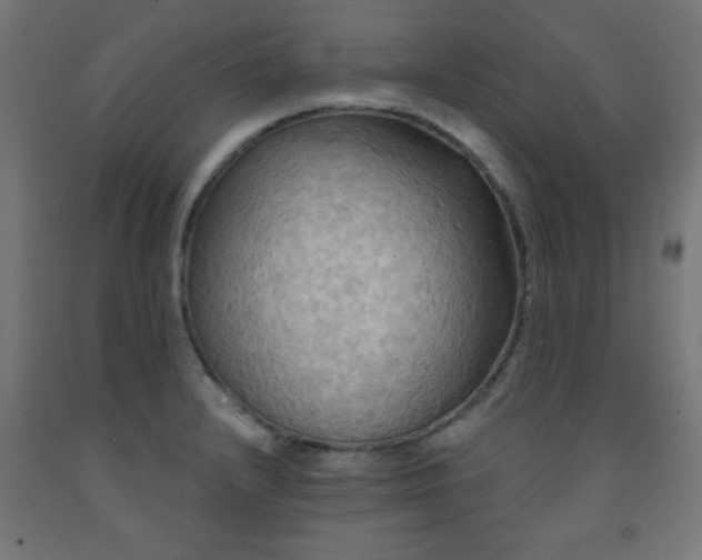 X0000093251232200710031556