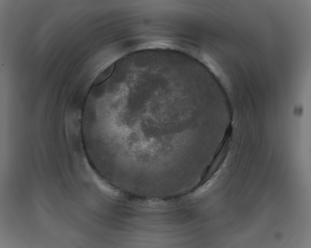 X0000093251233200710031556