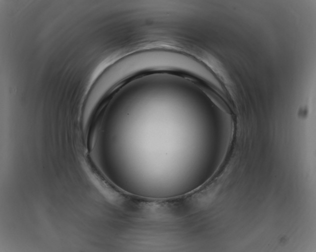 X0000093251234200710031556