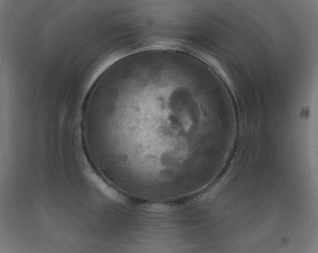 X0000093251235200710031556