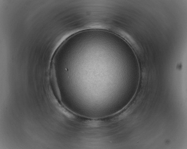 X0000093251236200710031556