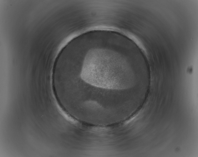 X0000093251237200710031556