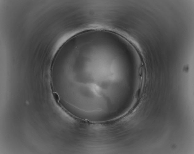 X0000093251239200710031556