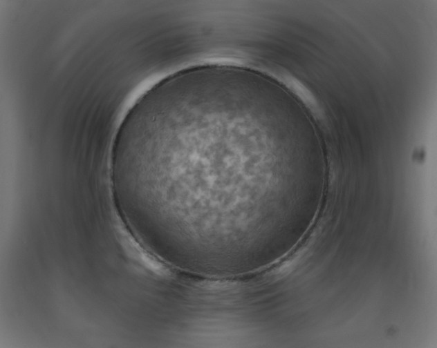 X0000093251240200710031556