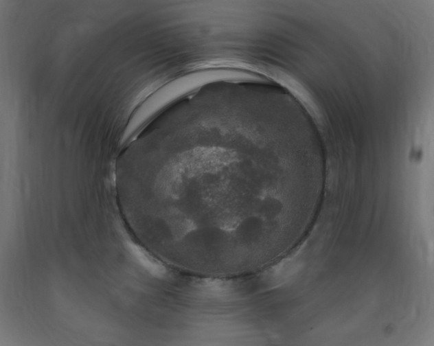 X0000093251241200710031556