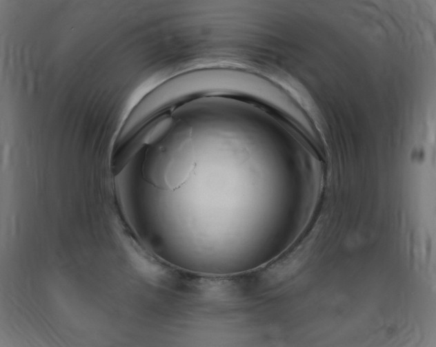 X0000093251242200710031556