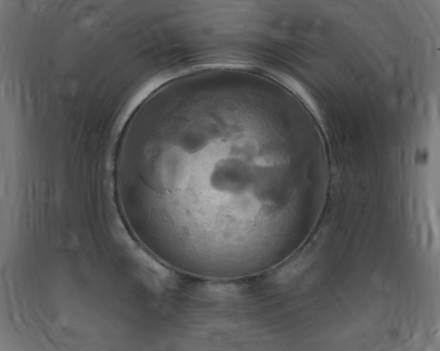 X0000093251243200710031556