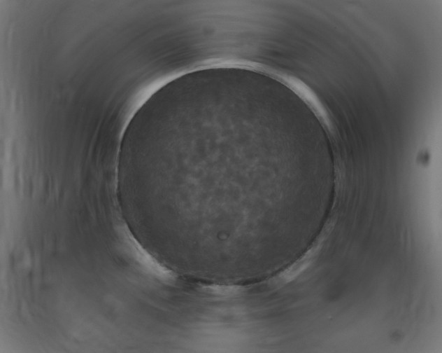 X0000093251244200710031556