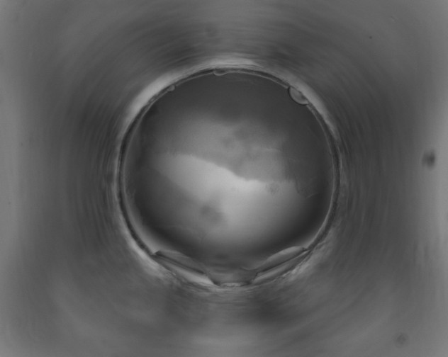 X0000093251245200710031556