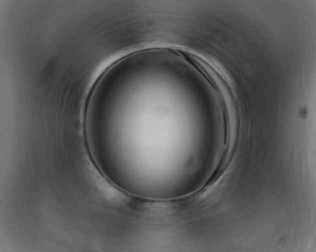 X0000093251246200710031556