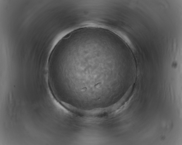 X0000093251247200710031556