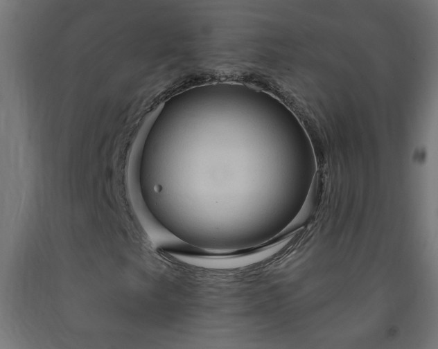 X0000093251249200710031556