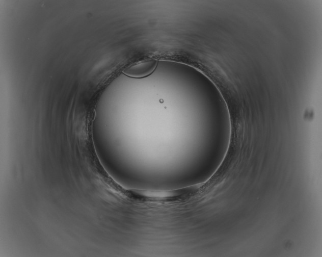 X0000093251250200710031556