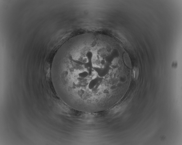 X0000093251251200710031556