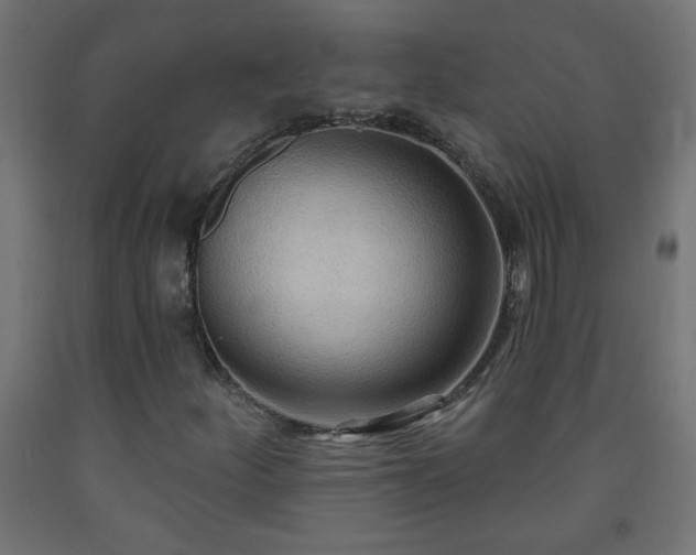 X0000093251252200710031556