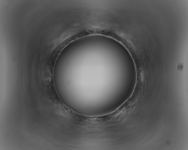 X0000093251253200710031556