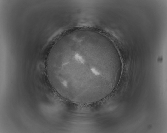 X0000093251254200710031556