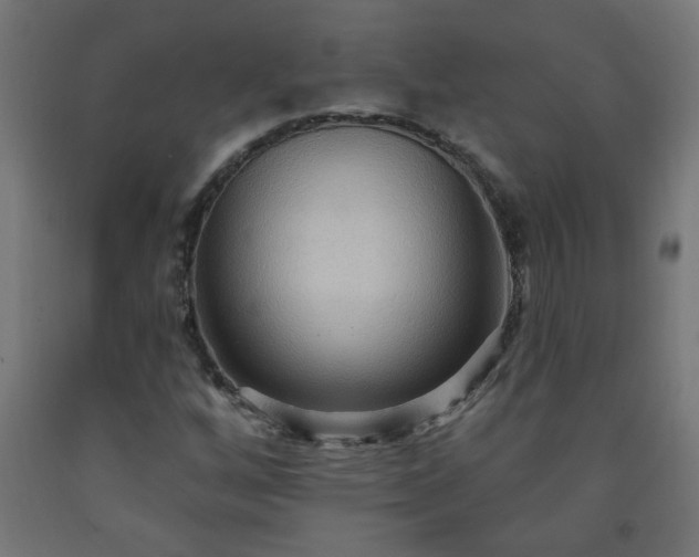 X0000093251256200710031556