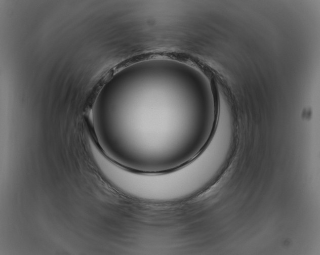 X0000093251257200710031556