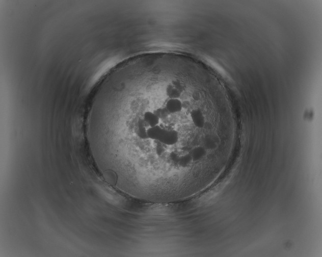 X0000093251259200710031556