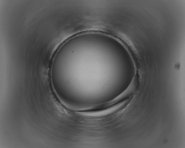 X0000093251260200710031556