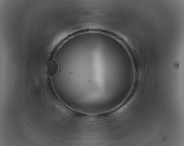 X0000093251263200710031556