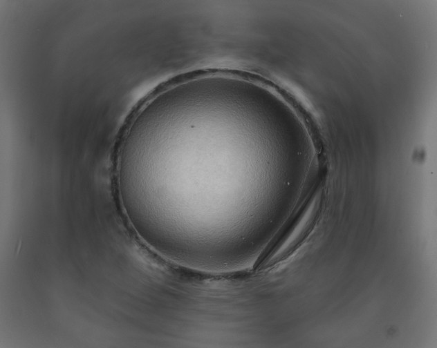 X0000093251264200710031556