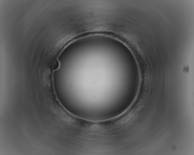 X0000093251265200710031556