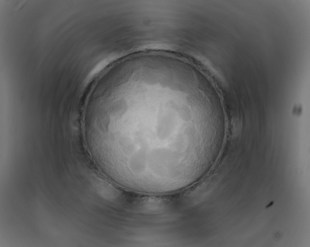 X0000093251266200710031556