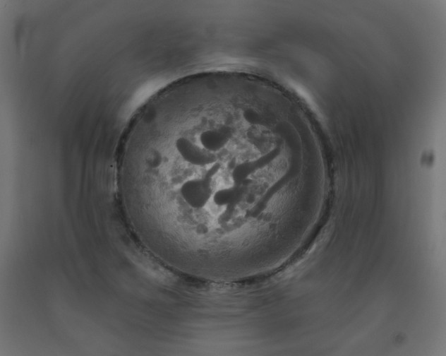 X0000093251267200710031555