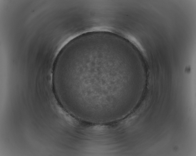 X0000093251268200710031555