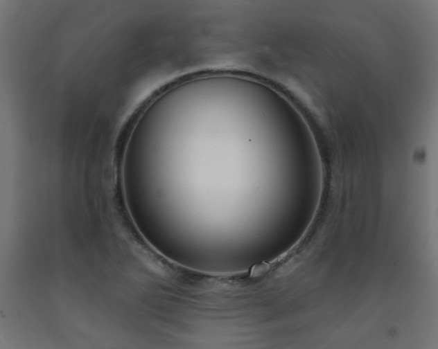 X0000093251270200710031555