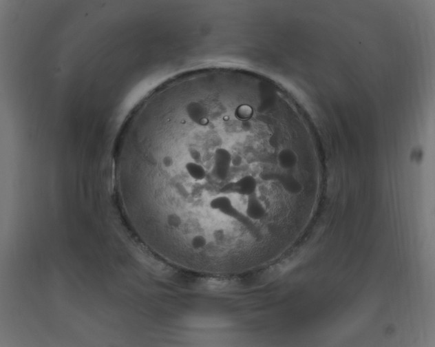 X0000093251271200710031555