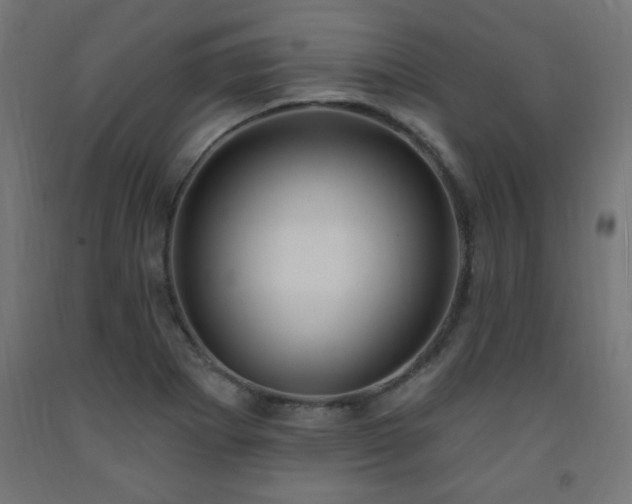 X0000093251273200710031555