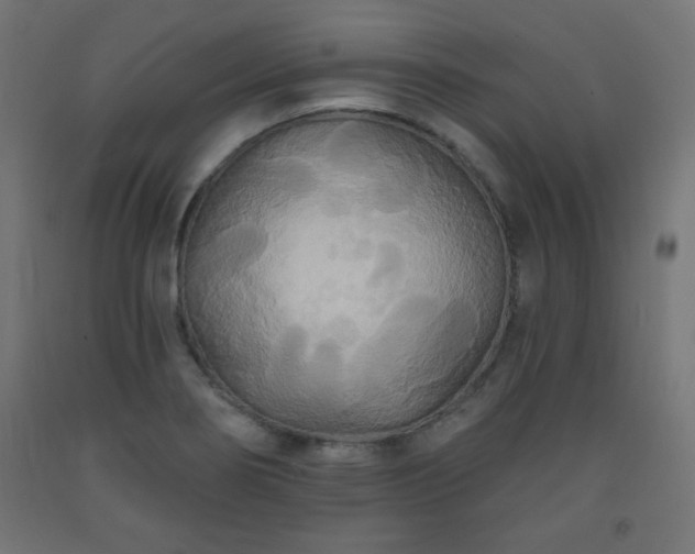 X0000093251274200710031555