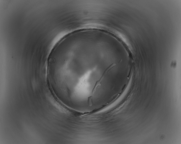 X0000093251275200710031555