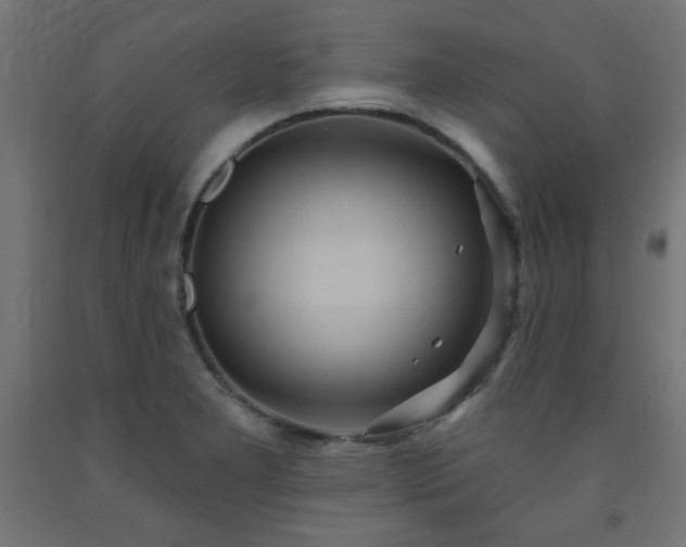 X0000093251277200710031555