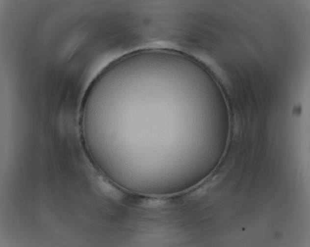 X0000093251278200710031555