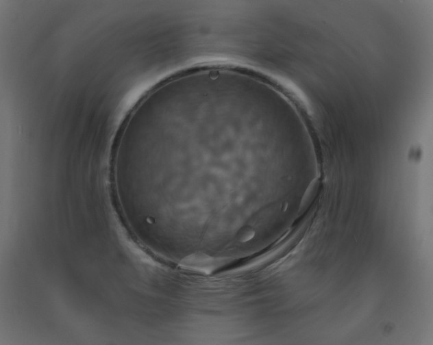 X0000093251279200710031555